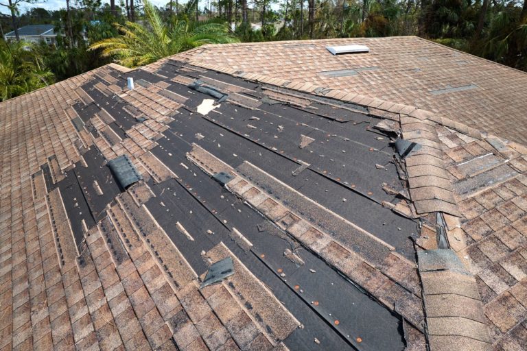 Asphalt Shingle Roof