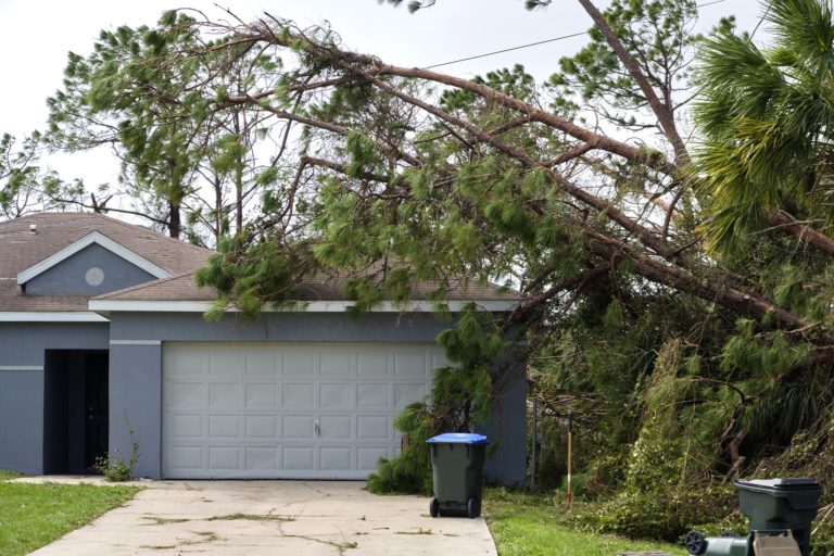 Storm Damage