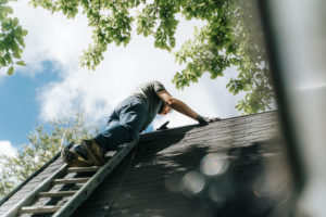 Shingle Roof