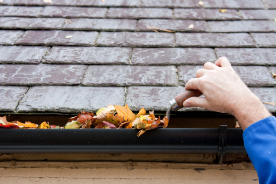 Clean Gutters and Downspouts in Oakland County