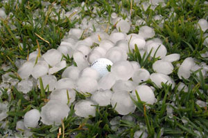 Hail Damage in Metro Detroit