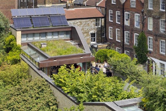 Roof Garden in Royal Oak