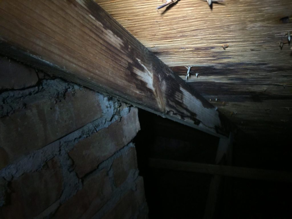 Roofing Leaks and Water Damage in Michigan scaled