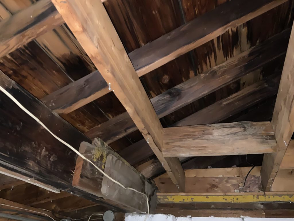 Roofing Leaks and Water Damage in Michigan scaled