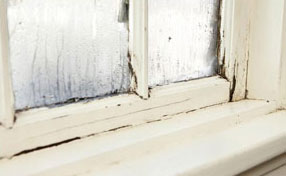 Window Frame Rot